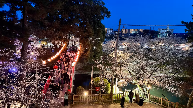 Nagoya Private Tour - 