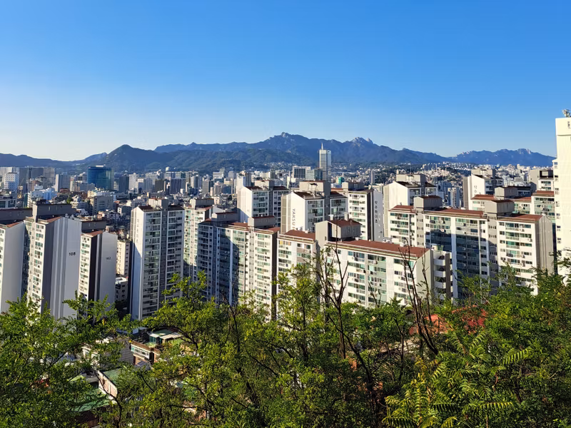 Seoul Private Tour - a view from the top of the hill
