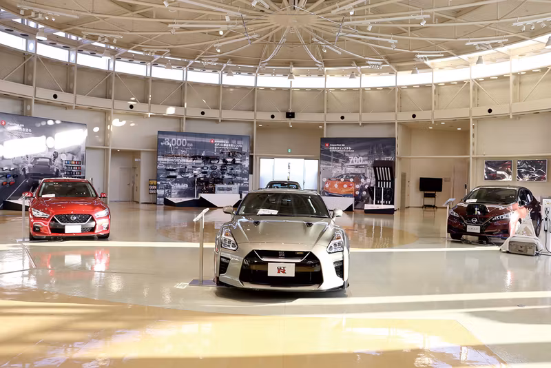 Tochigi Private Tour - 