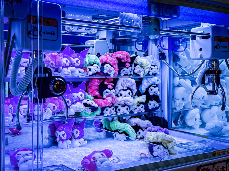 Tokyo Private Tour - Crane Games at Gigo Game Center