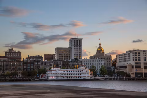 Savannah Tour Guide