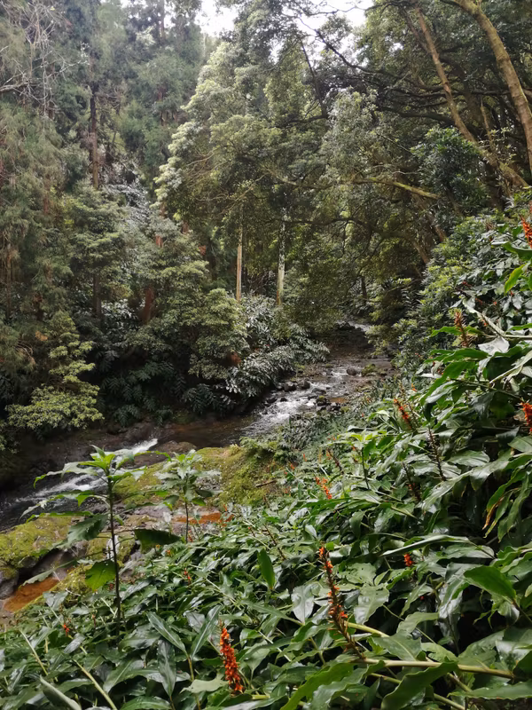 Azores Private Tour - 