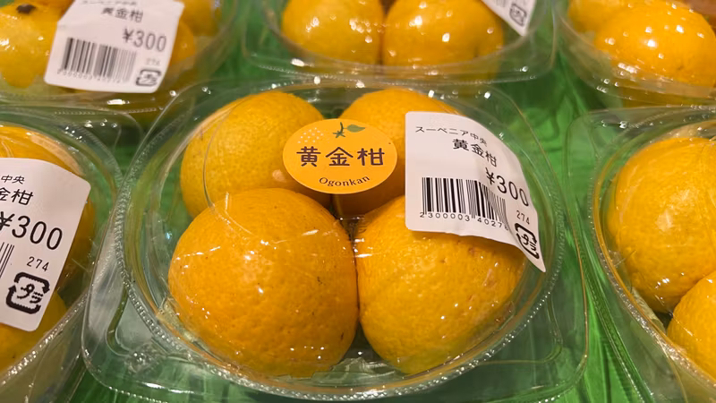 Nagoya Private Tour - Sweet orange