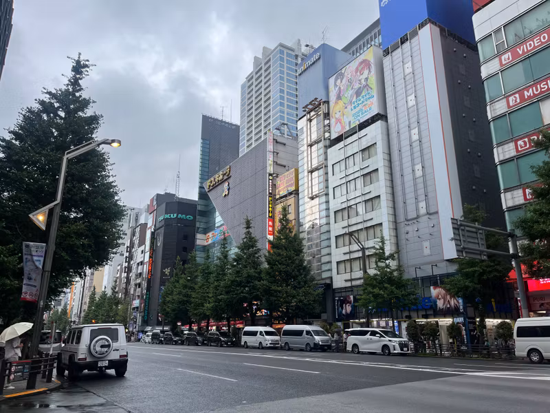 Tokyo Private Tour - Akihabara : Marin Street