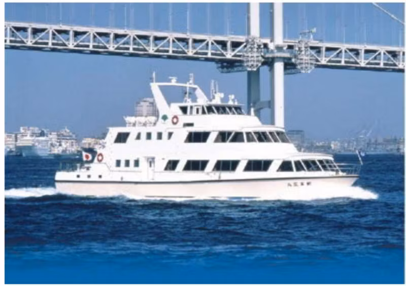 Tokyo Private Tour - New Tokyo Ship public accesses wide area of Tokyo bay.