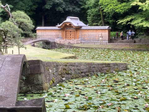 Japanese Gardens and Tokyo Life: Bunkyo City Customized Tourcover image