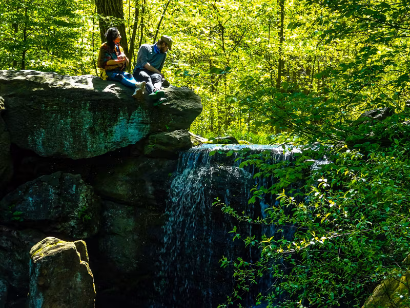 New York Private Tour - IN North Woods of Central Park