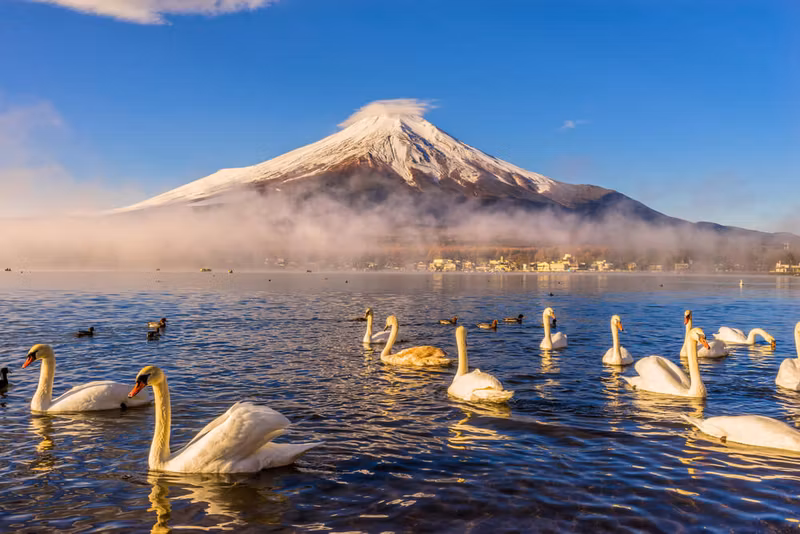 Yokohama Private Tour - 