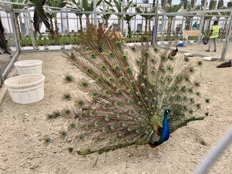 Bukhara Private Tour - Zoo in Varnet Botanical Garden