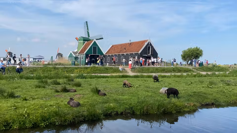 Tour around Dutch countryside: Zaanse Schanscover image