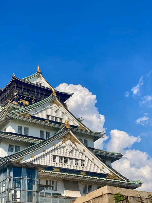 Osaka Private Tour - Osaka Castle