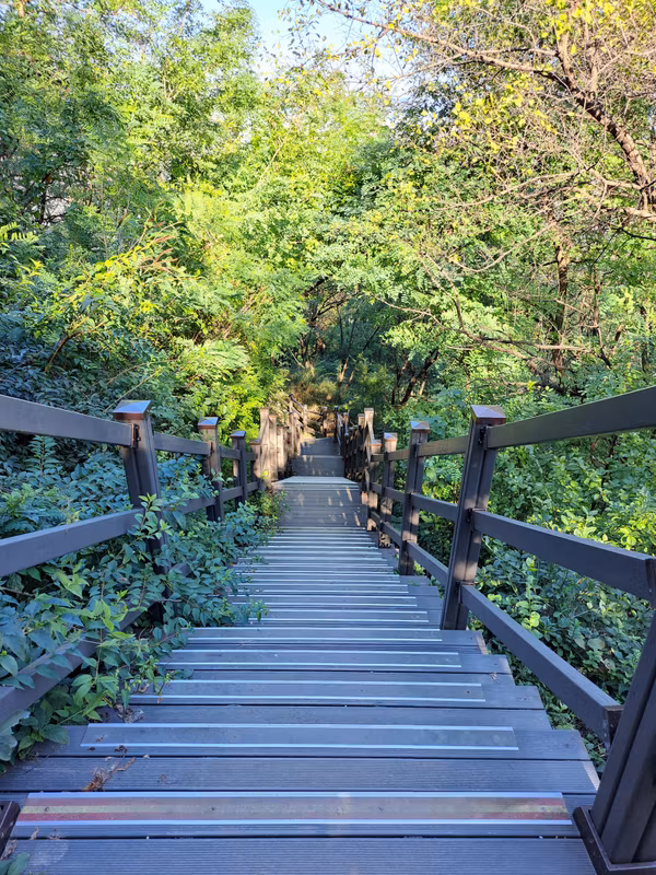 Seoul Private Tour - Namsan Jarak-gil (walking trail)
