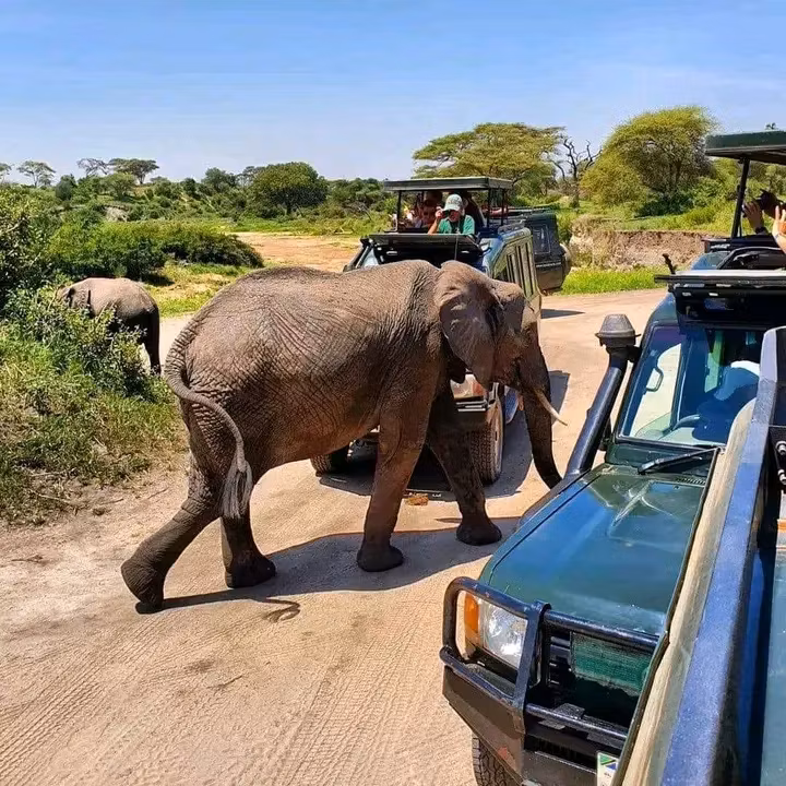 Moshi Private Tour - 