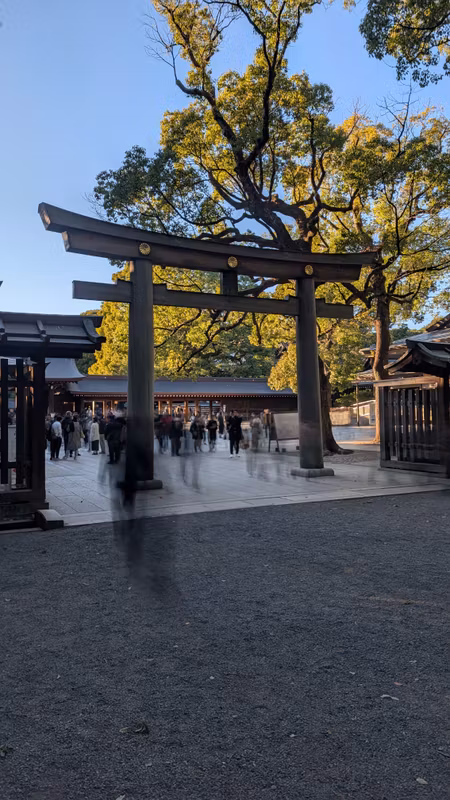 Tokyo Private Tour - Meiji-Jingu - Tori