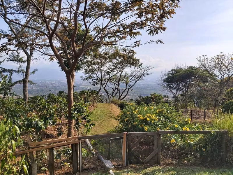 Alajuela Private Tour - Coffee Farm for a relaxing day