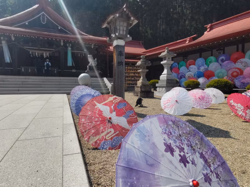 Miyagi Private Tour - 