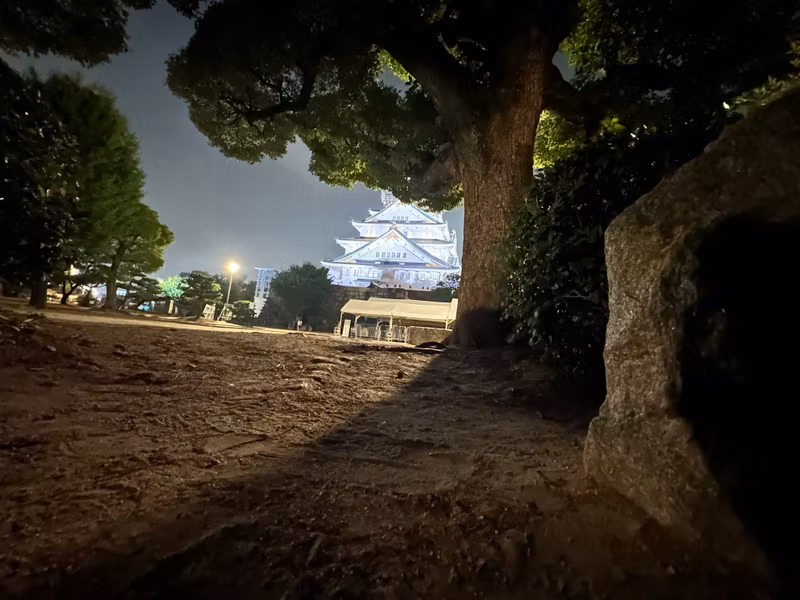 Osaka Private Tour - frontal view _night