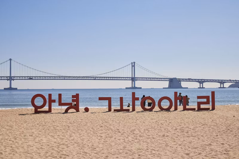 Busan Private Tour - 