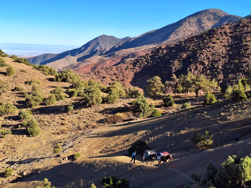 Ouarzazate Private Tour - 