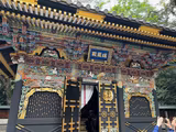 Sendai Half Day Tour : Sendai Castle, Zuihoden and City Walking - 3