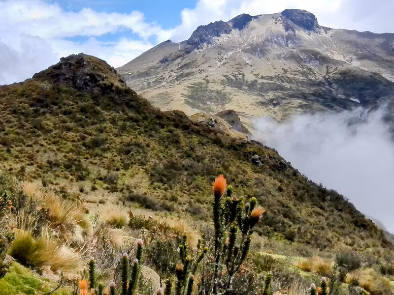 Pichincha Private Tour - Chuquiragua with Guagua Pichincha behind