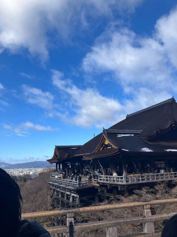 Nagoya Private Tour - 