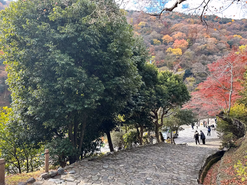 Osaka Private Tour - Arashiyma park