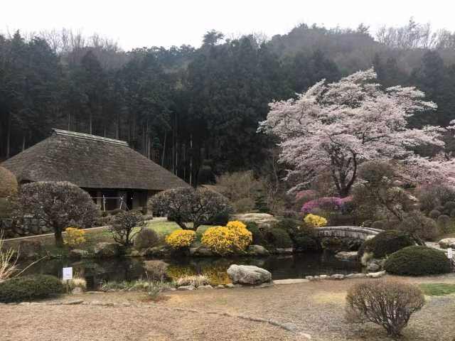 Saitama Private Tour - Washi no Sato (village)