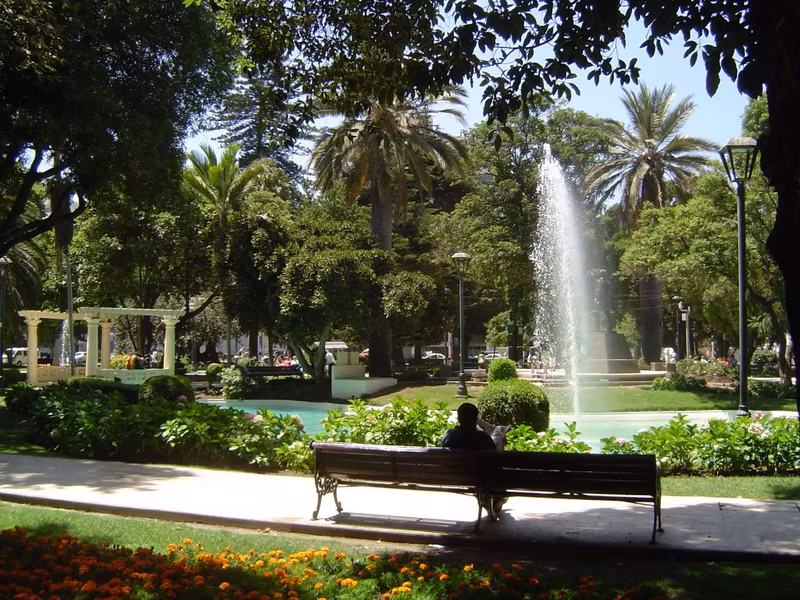 Valparaiso Private Tour - Vergara Square. Viña del Mar