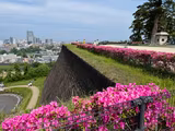 Sendai Half Day Tour : Sendai Castle, Zuihoden and City Walking - 1