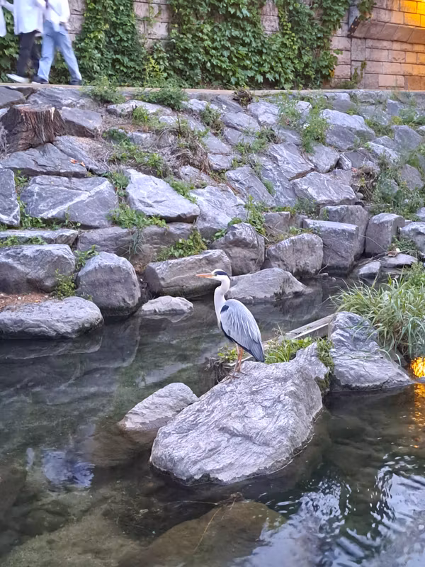 Seoul Private Tour - Cheonggyecheon Stream