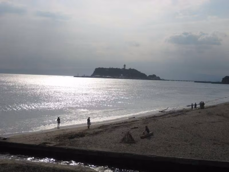 Kanagawa Private Tour - Enoshima Island