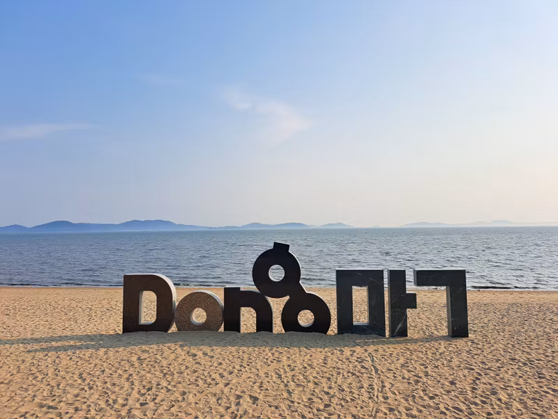 Seoul Private Tour - Dongmak Beach