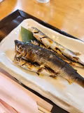 One-day fishing adventure tour in Gifu, Nagara river system - 3