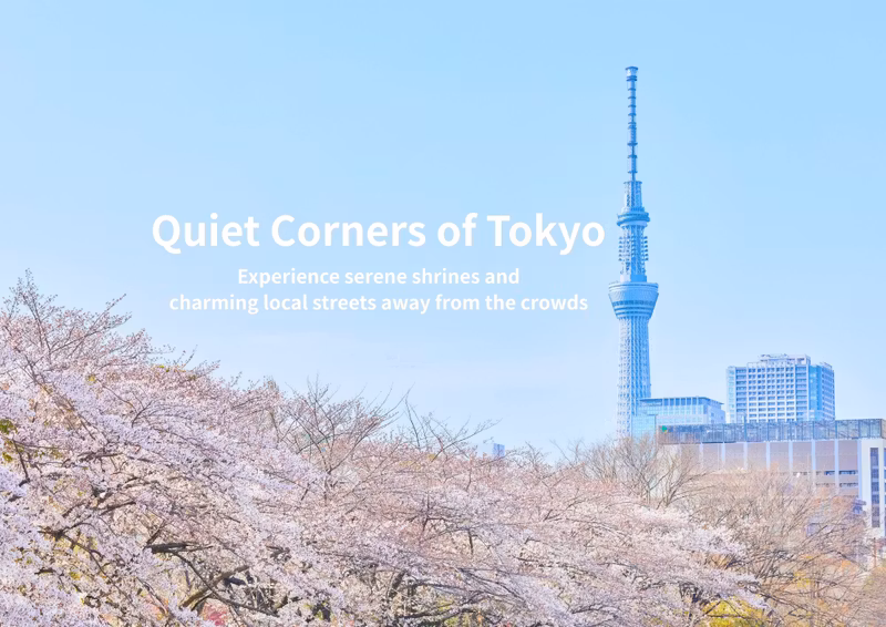 Tokyo Private Tour - Tokyo Skytree