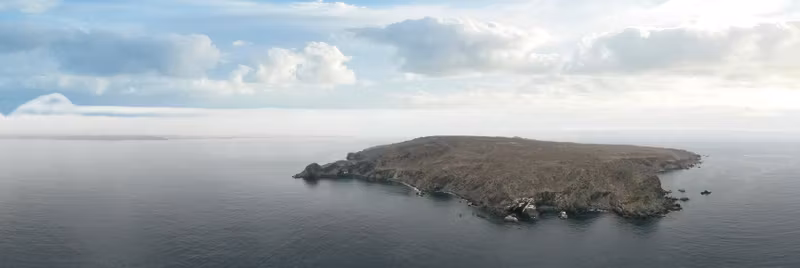 La Serena Private Tour - Choros Island