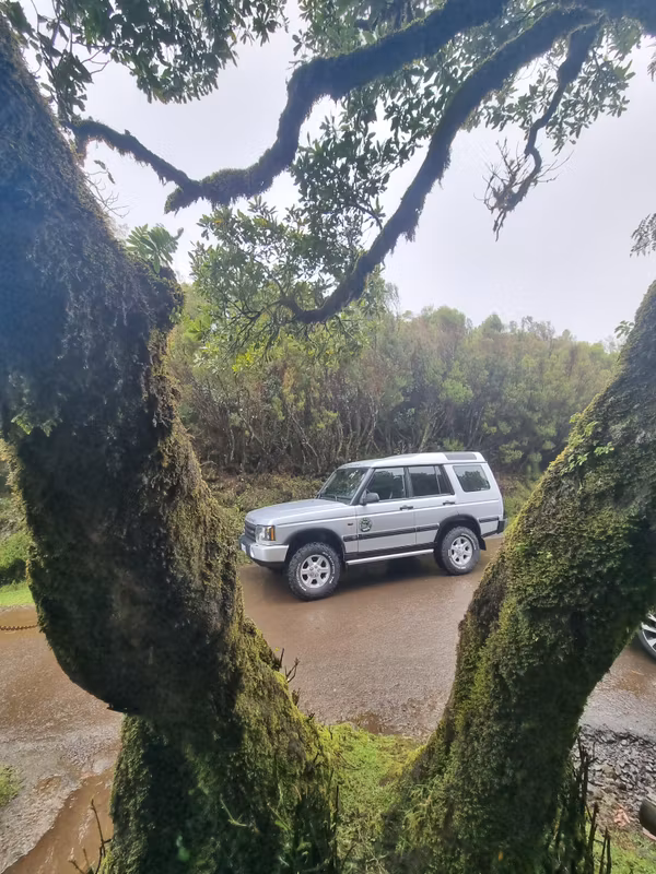 Madeira Private Tour - Fanal