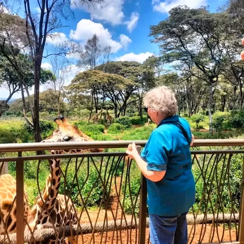 Nairobi Private Tour - 