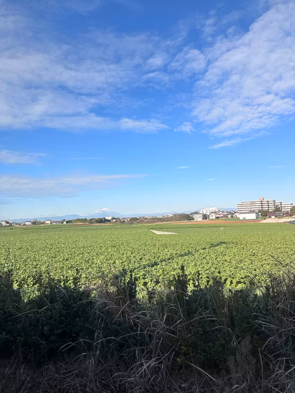 Kanagawa Private Tour - 