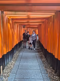 Full day Nara/Kyoto private guided tour! - 2