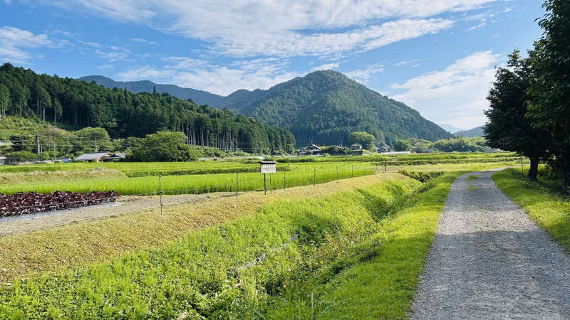 Kyoto Private Tour - Takase river side working