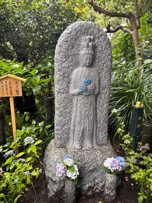 Kamakura Private Tour - Kannon Bodhisattva of Hydrangea