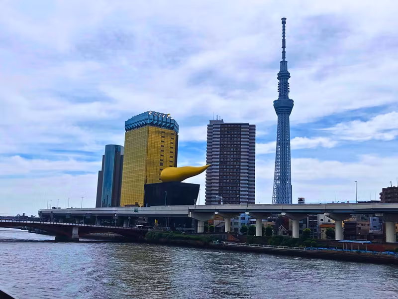 Tokyo Private Tour - A soaring symbol of modern Japan