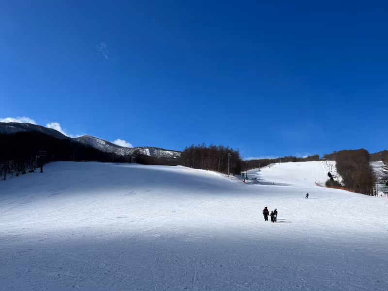 Miyagi Private Tour - Ski resorts in Zao area