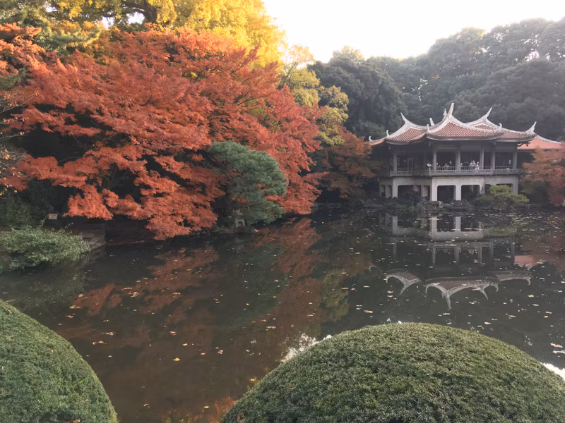 Narita Private Tour - 4.1 Shinjuku Gyoen Garden