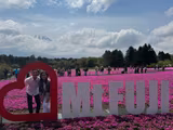 Tokyo Private & Custom Local Guide Tour – 1-Day Luxury Experience - 2