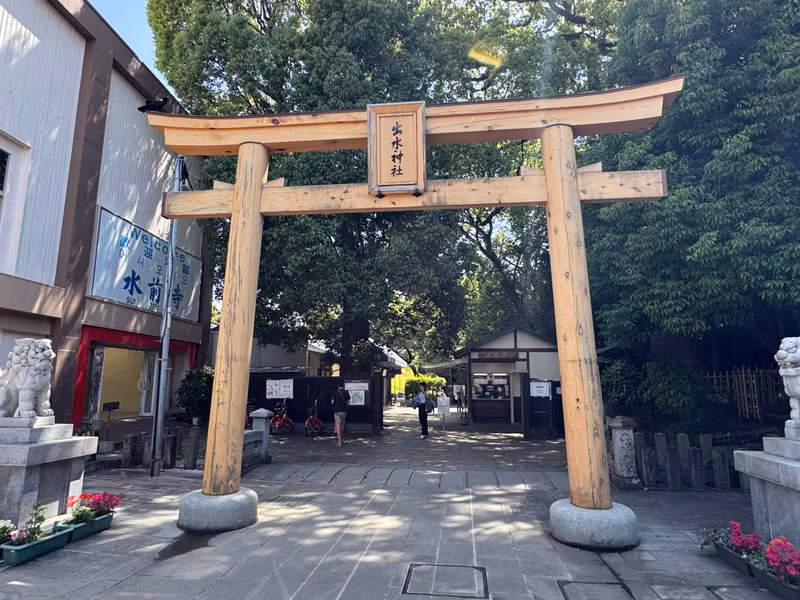 Fukuoka Private Tour - Newly built torii gate after complete destruction