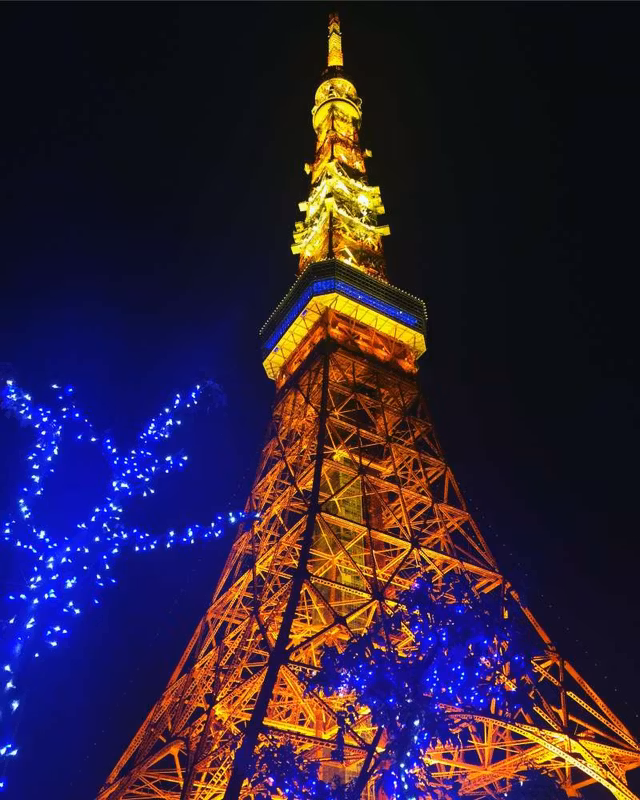 Tokyo Private Tour - Tokyo Tower at night