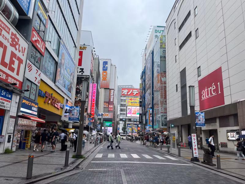 Tokyo Private Tour - Akihabara : In front of JR Station