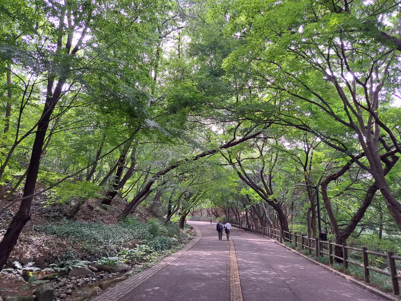 Seoul Private Tour - Namsan Mountain